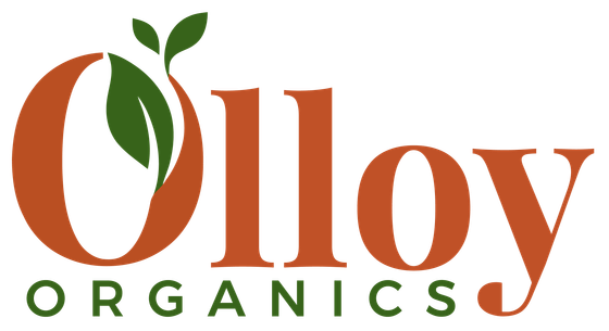 Olloy Organics Bangladesh | Pure Organic Foods