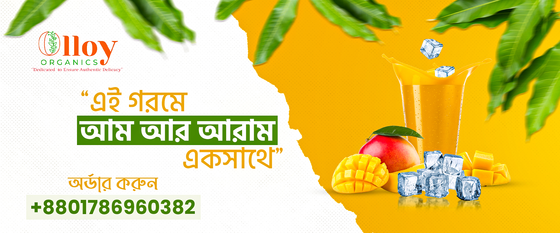 Web Banner