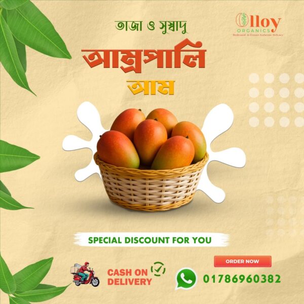 আম্রপালি আম  ১২ কেজি