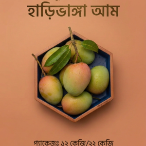 হাড়িভাঙ্গা আম