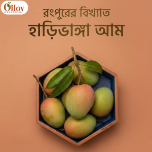 হাড়িভাঙ্গা আম