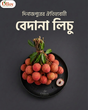 বেদানা লিচু । Bedana Litchi